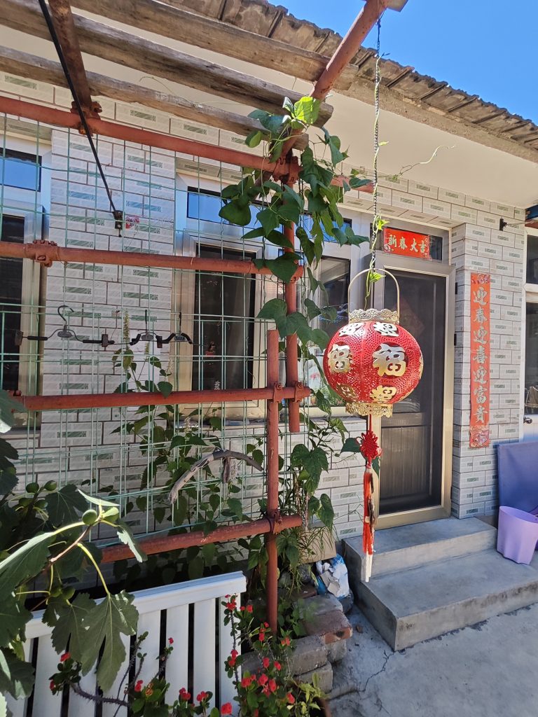 河西15庭院