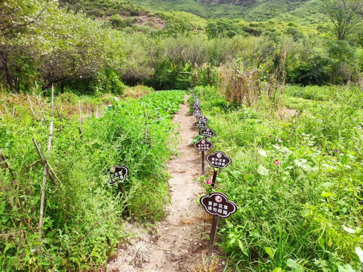 A区优质耕地