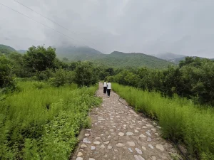 百花山畔小镇苹果园喝茶、采摘、休闲度假