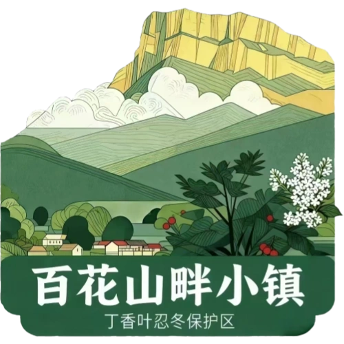 百花山畔小镇