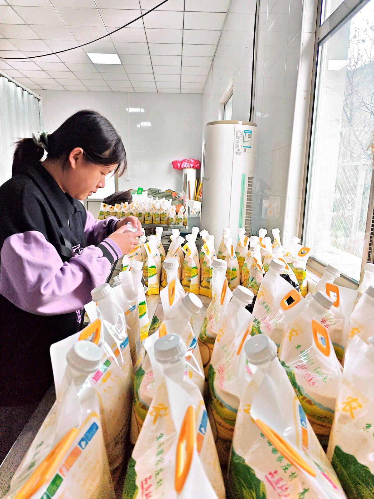 百花山畔小镇高山谷子(小米)