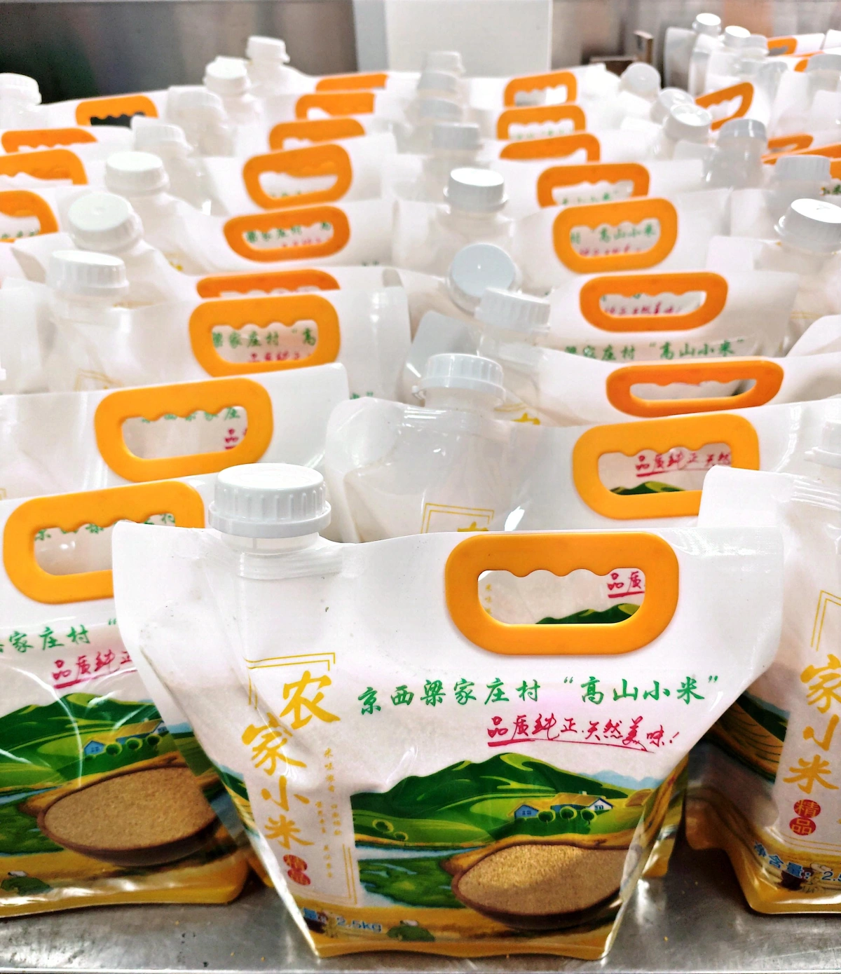 百花山畔小镇高山谷子(小米)